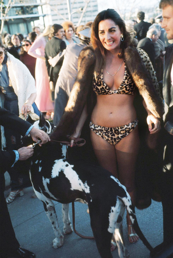 Edy Williams