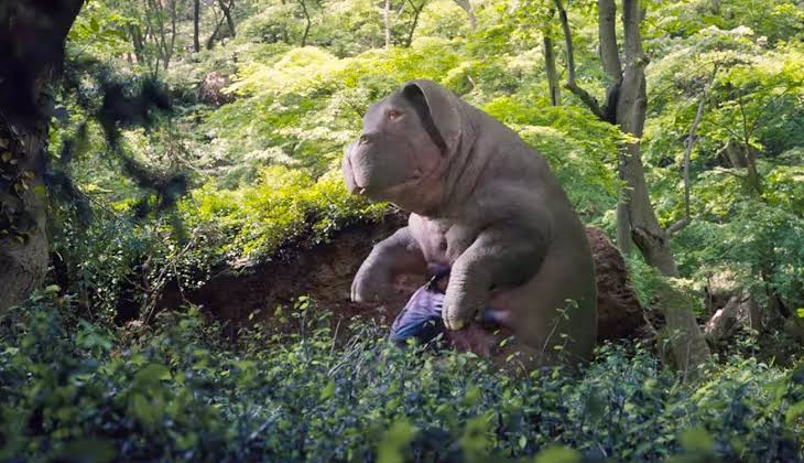 Okja                                  (2017)