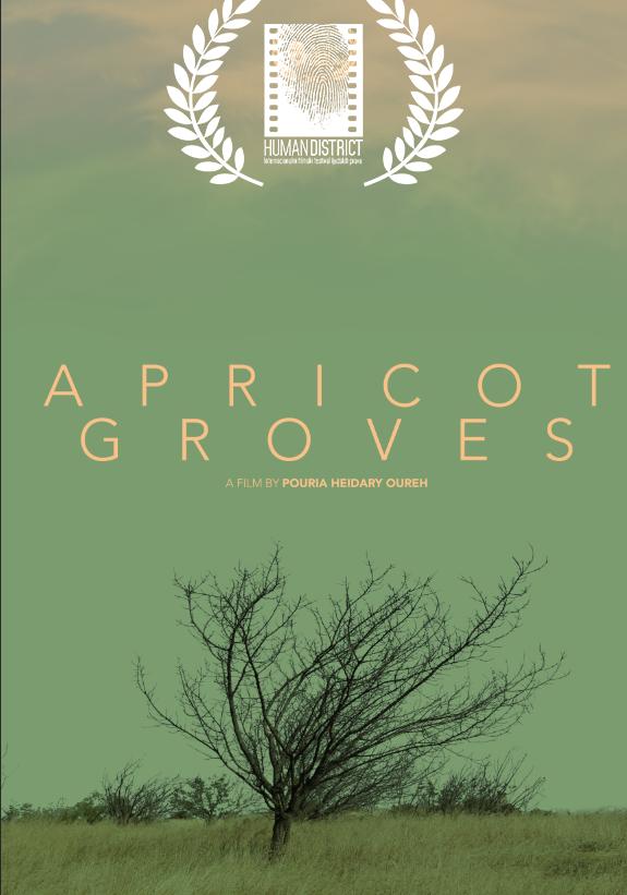 Apricot Groves