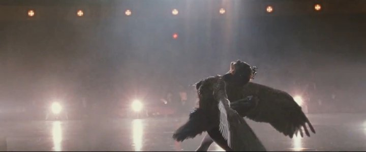 Black Swan Black Swan