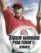 Tiger Woods PGA Tour 2002