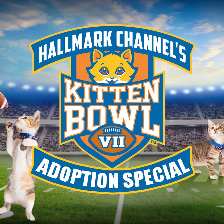 Kitten Bowl VII