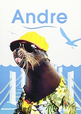 Andre