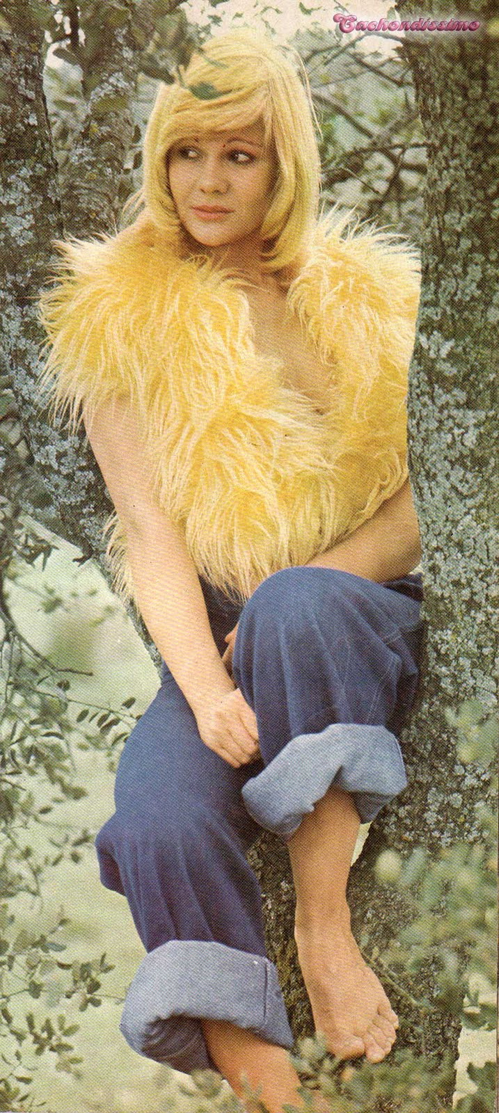 Rosa Valenty
