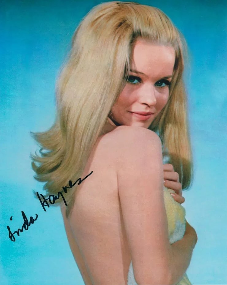 Linda Haynes Linda Haynes