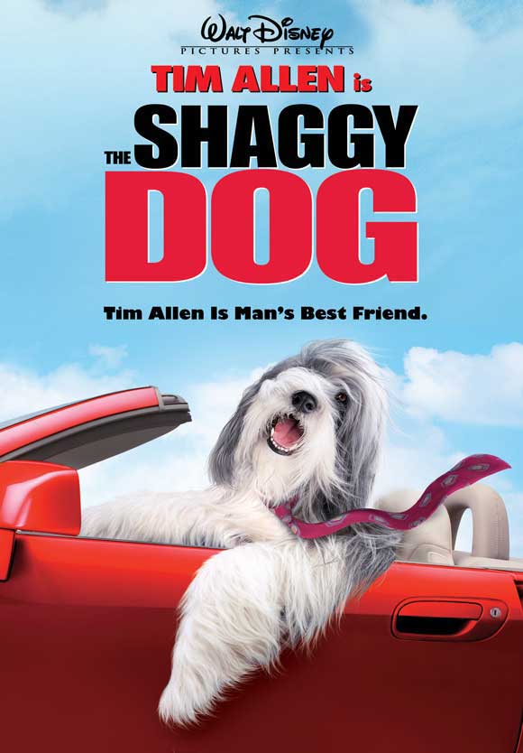 The Shaggy Dog