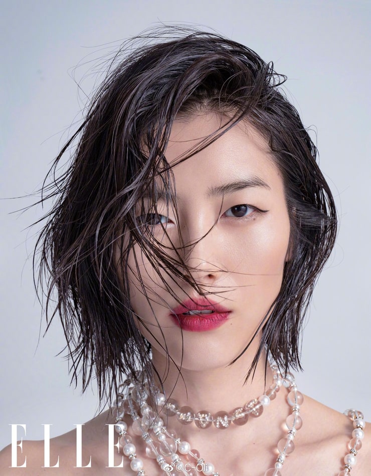 Picture of Liu Wen