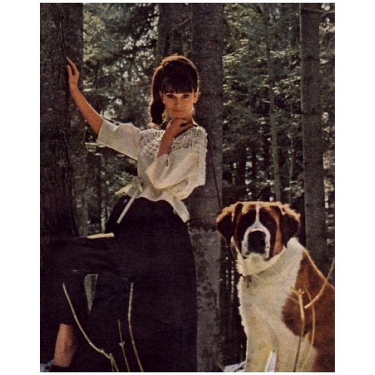 Audrey Hepburn