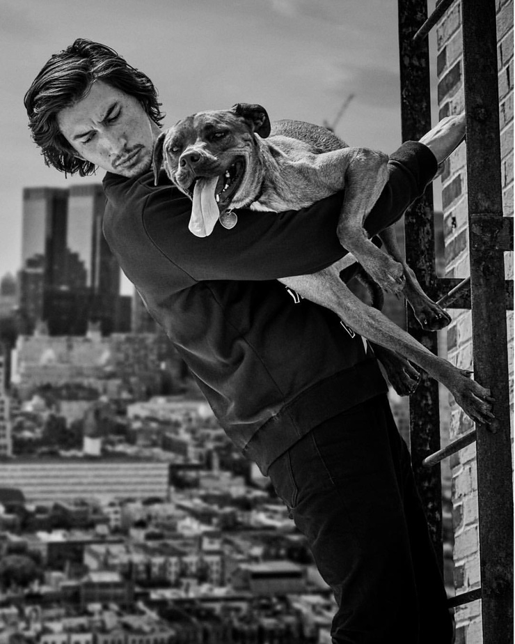 Adam Driver