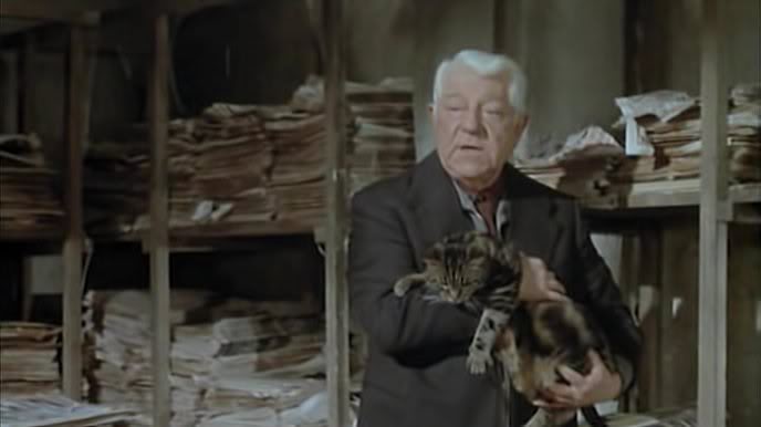 Le Chat Le Chat