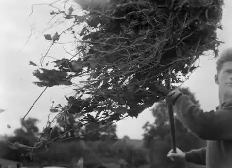 An Untitled Film