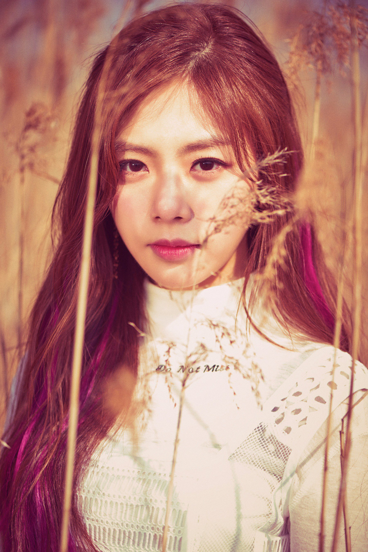 Dreamcatcher