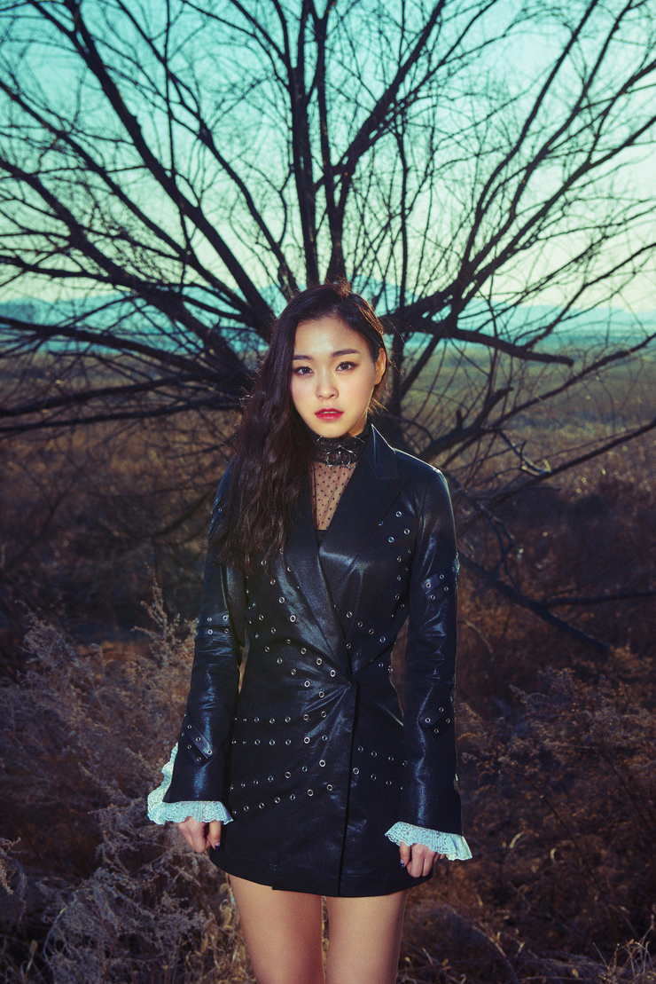 Dreamcatcher