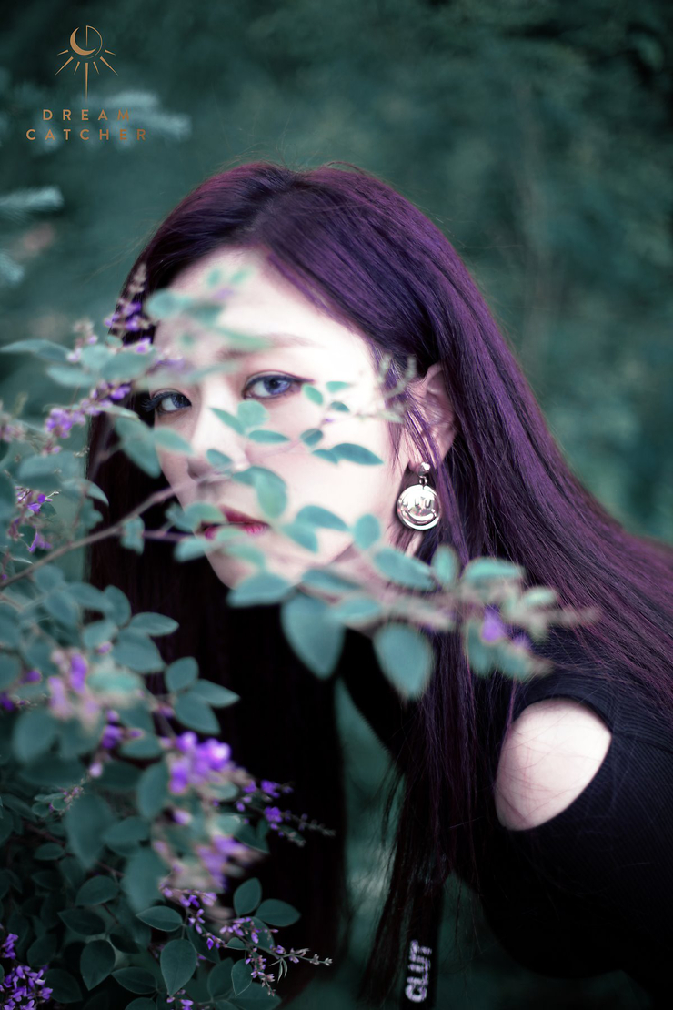 Dreamcatcher