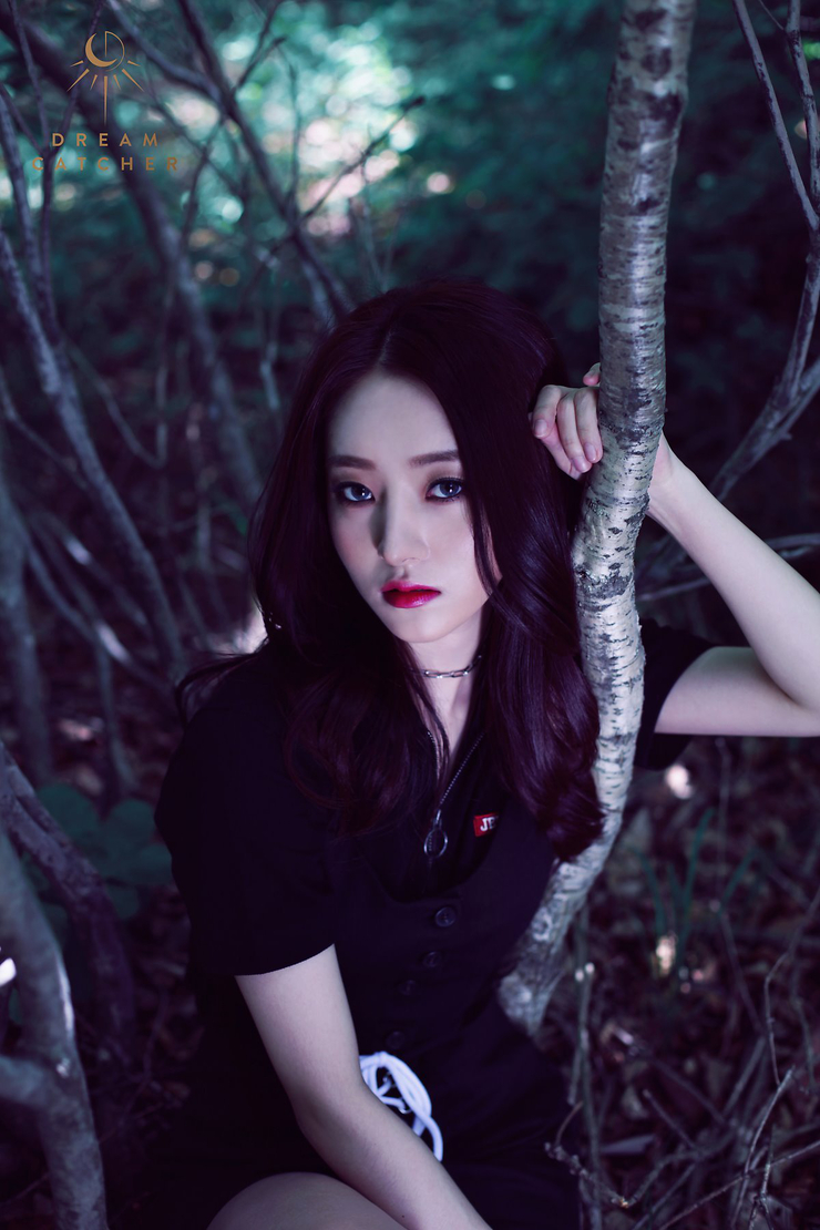 Dreamcatcher