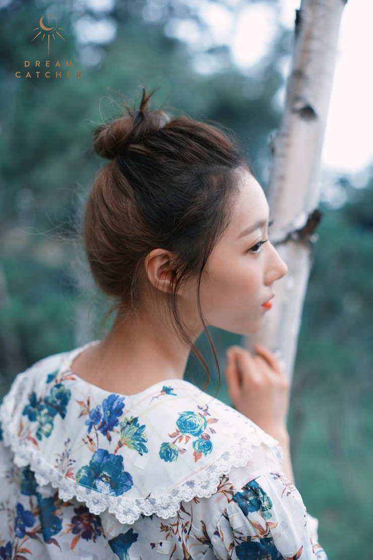 Dreamcatcher