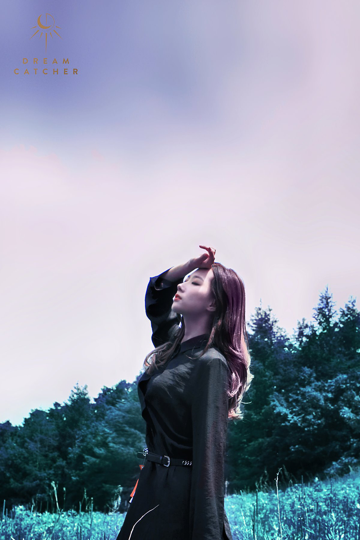 Dreamcatcher