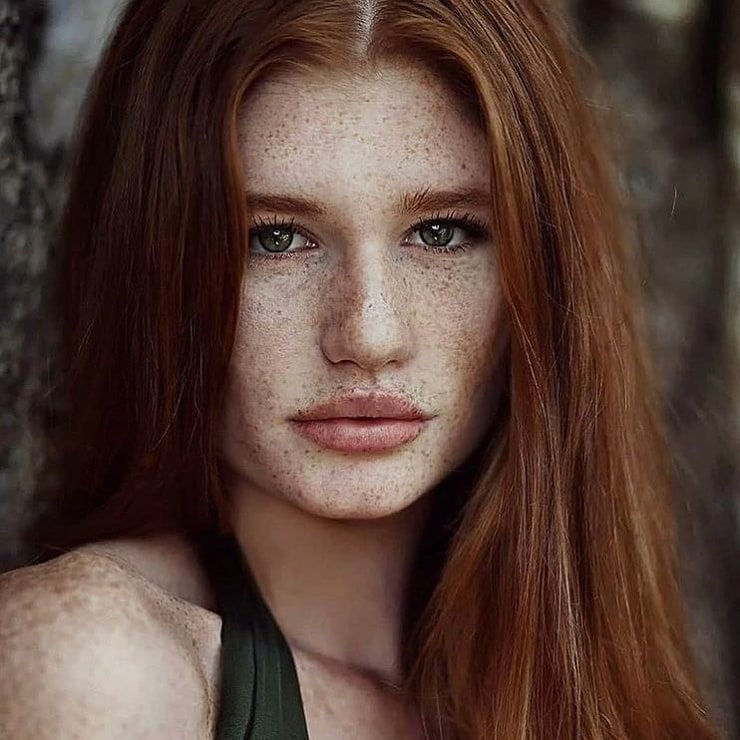 Danielle Fried Danielle Fried