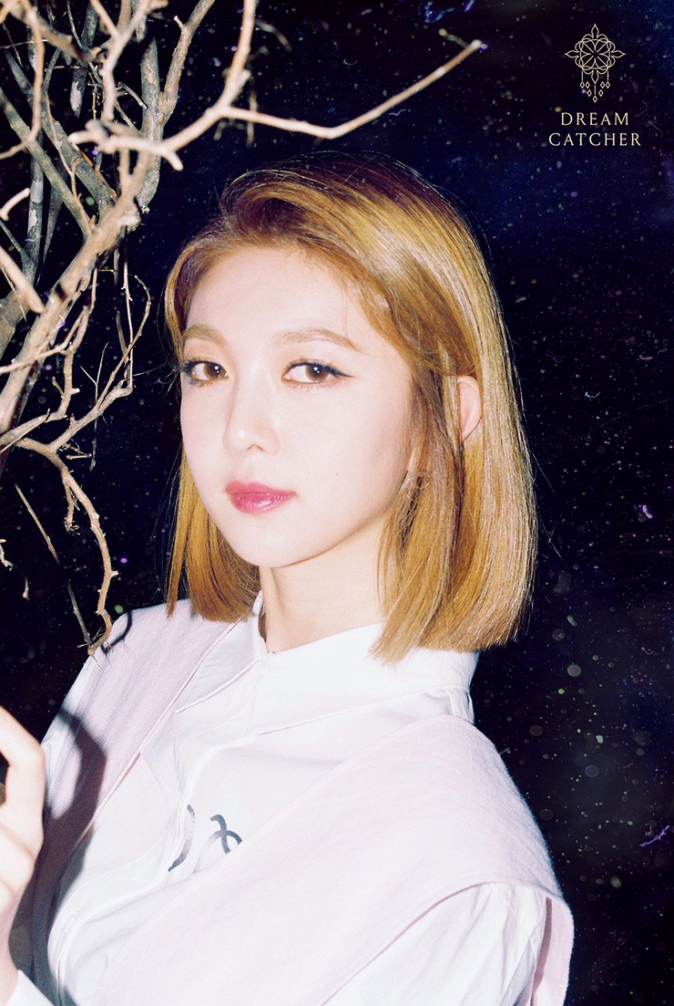 Dreamcatcher