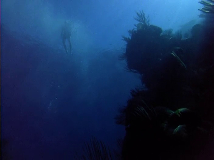 The Bermuda Depths