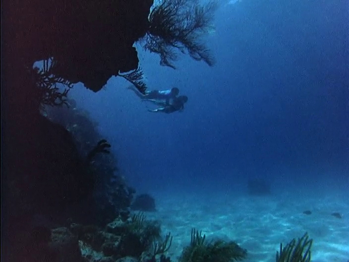 The Bermuda Depths