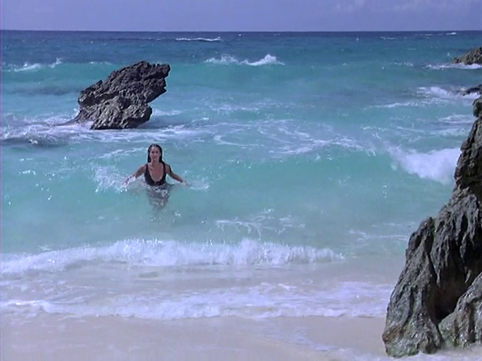 The Bermuda Depths The Bermuda Depths