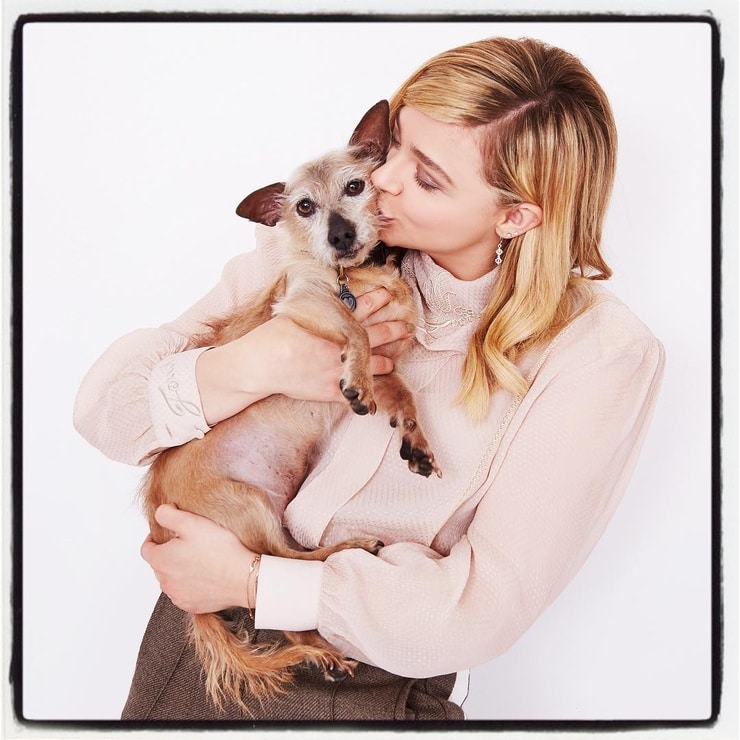 Chloe Moretz Chloe Moretz