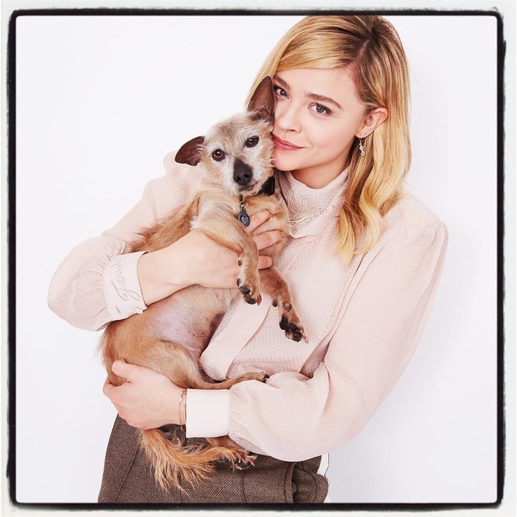 Chloe Moretz Chloe Moretz