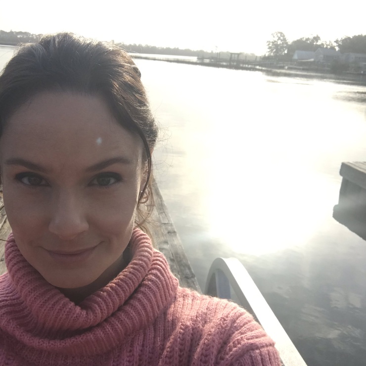 Sarah Wayne Callies