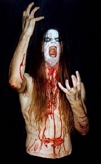 Taake