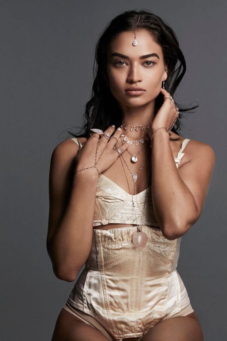 Shanina Shaik