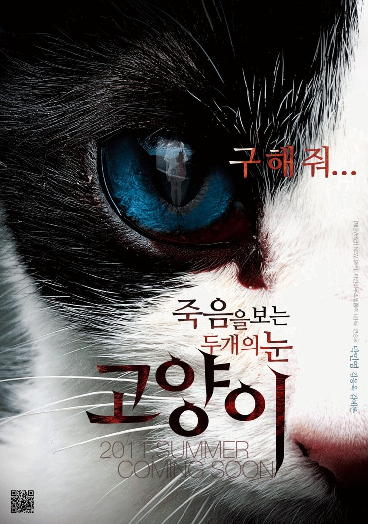 The Cat The Cat