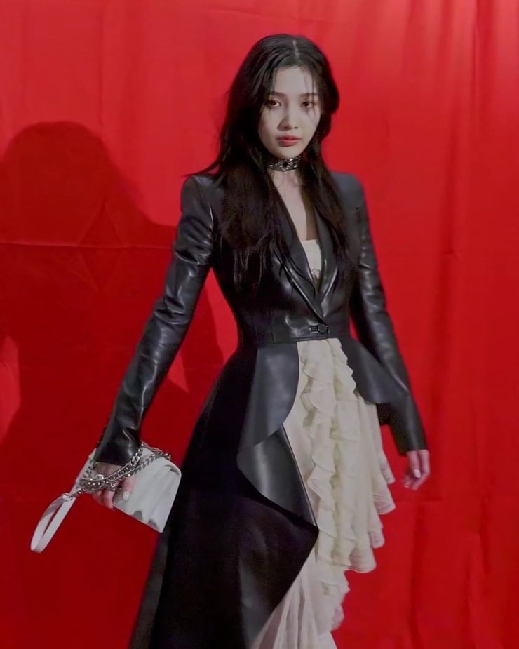 Joy (Park Soo Young)