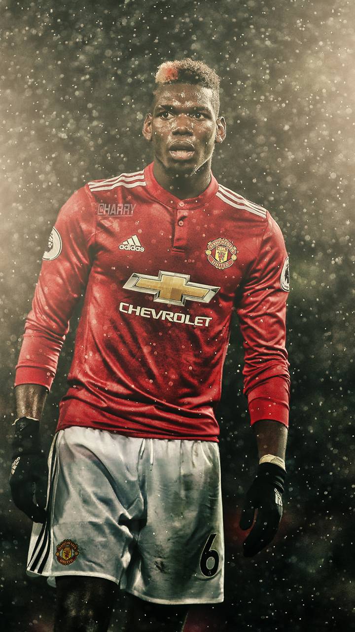 Picture of Paul Pogba