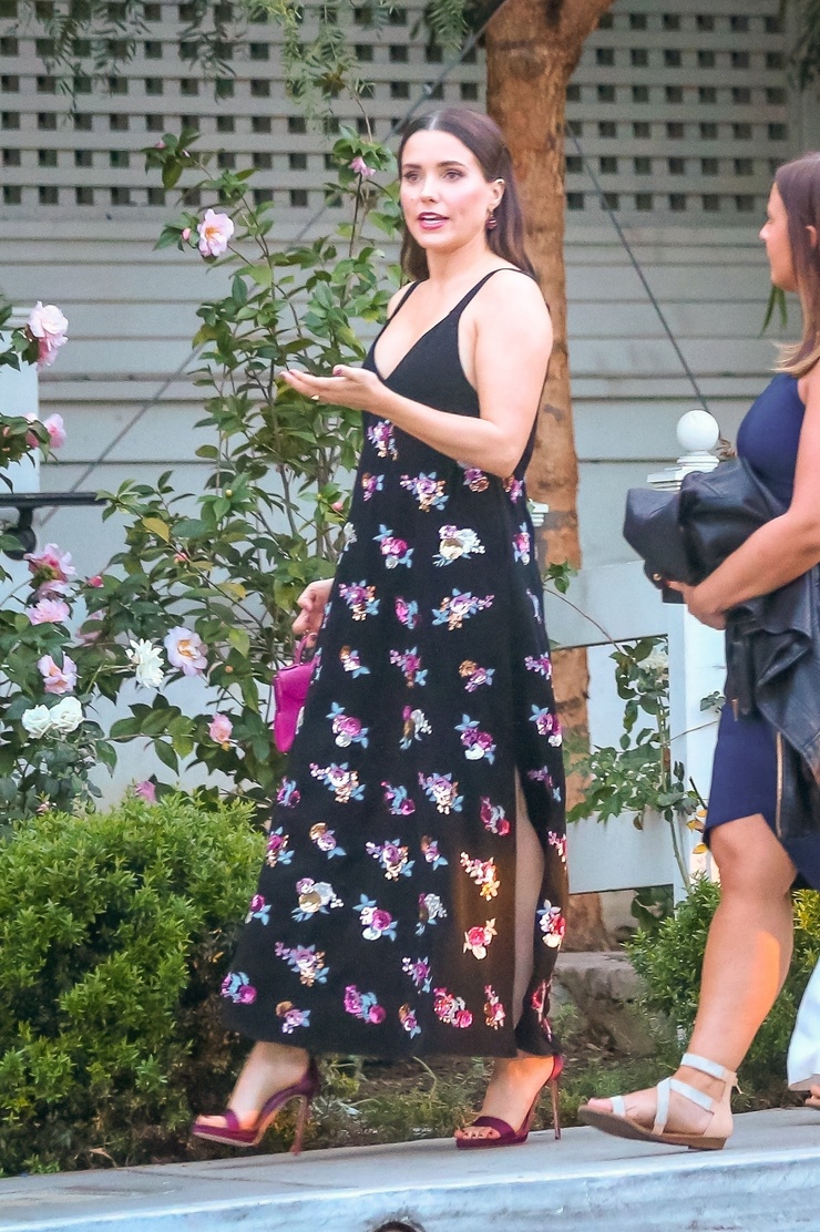 Sophia Bush
