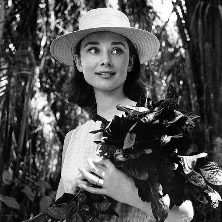 Audrey Hepburn