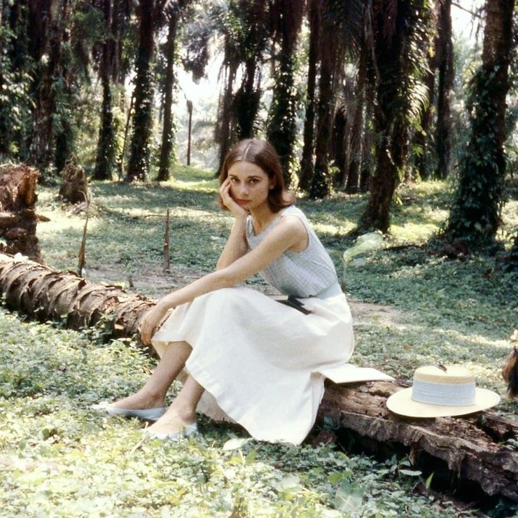Audrey Hepburn Audrey Hepburn