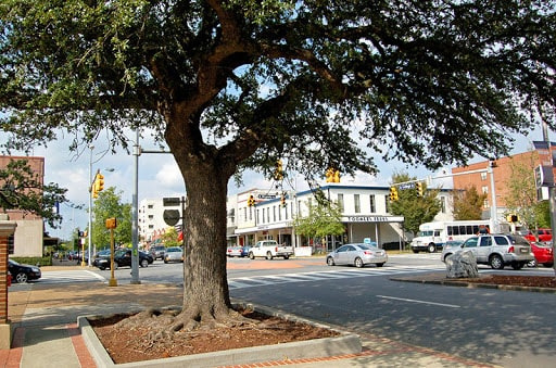 Auburn