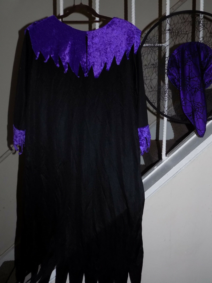 Witch Costume, Black & Purple Standard/Normal Size EUC