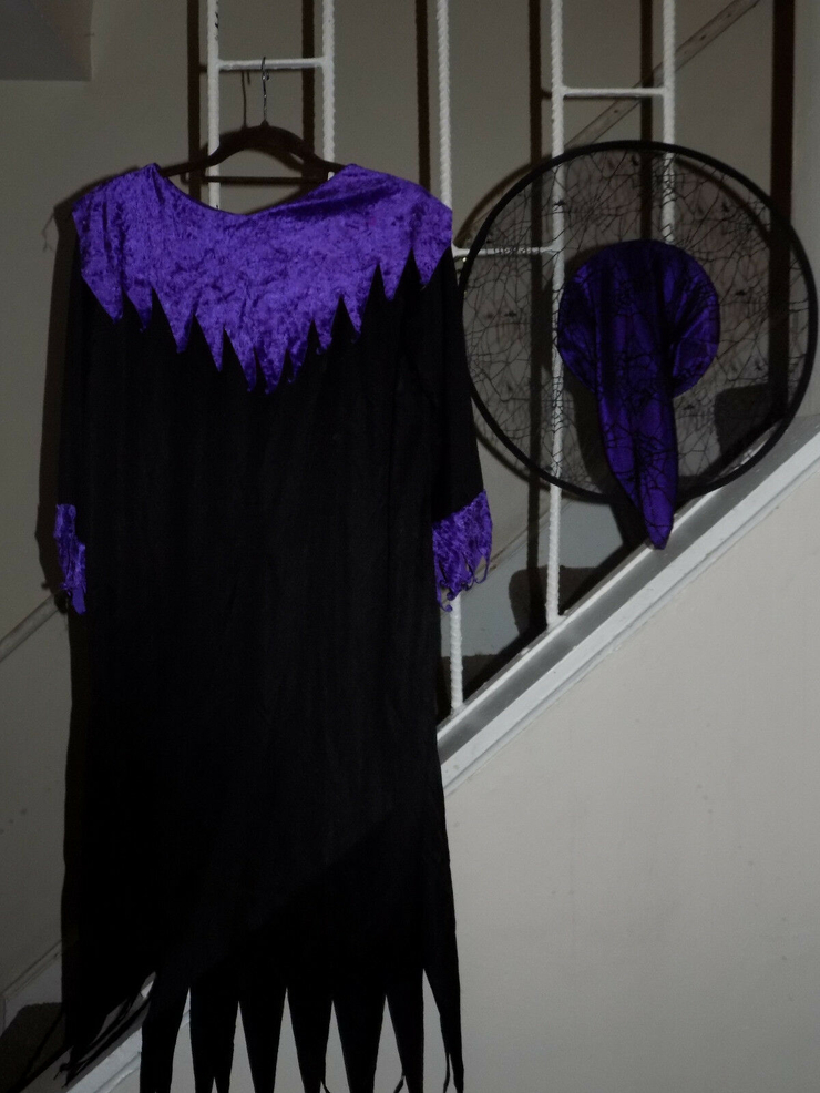 Witch Costume, Black & Purple Standard/Normal Size EUC