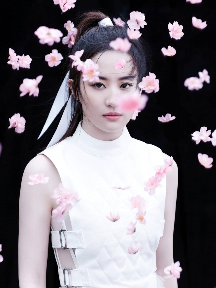 Yifei Liu