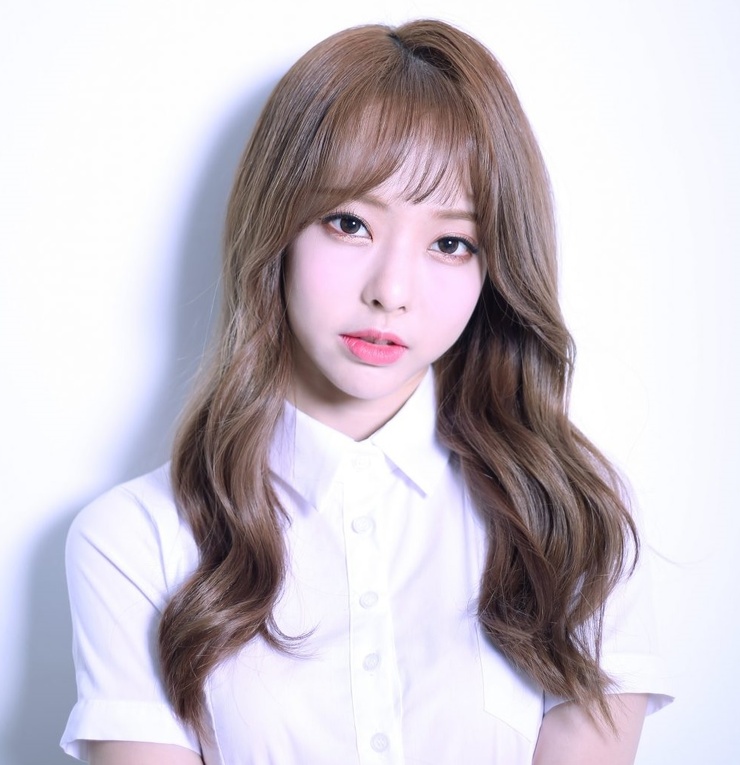 ViVi ViVi