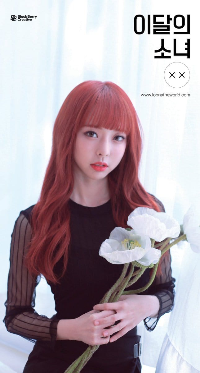 ViVi ViVi