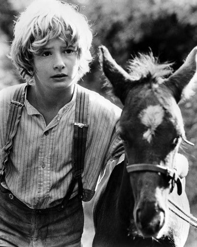 Mark Lester