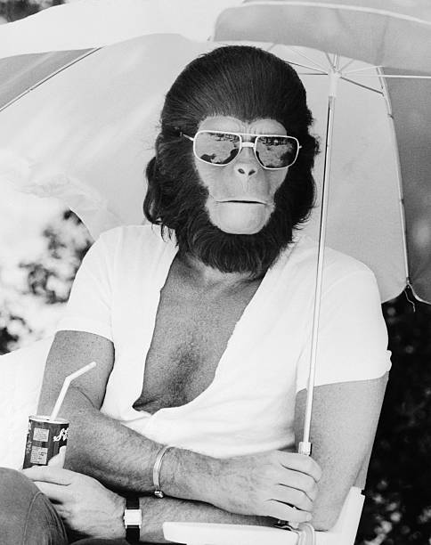 Roddy McDowall