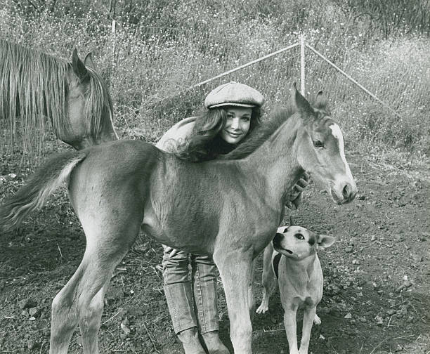 Mary Crosby