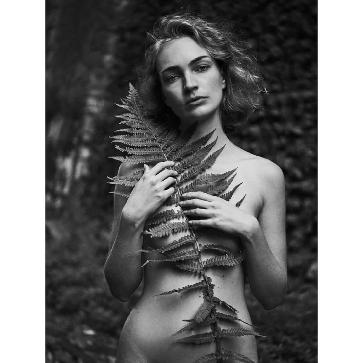 Ambre Renard