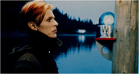 The Man Who Fell to Earth