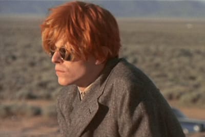 The Man Who Fell to Earth