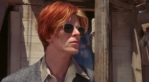 The Man Who Fell to Earth